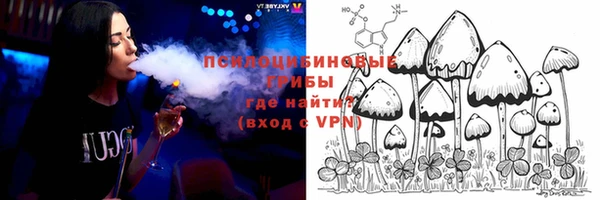 синтетический гашиш Алексин