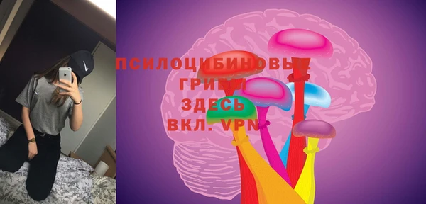 гидропоника Алзамай