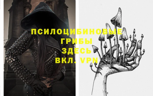 гидропоника Алзамай