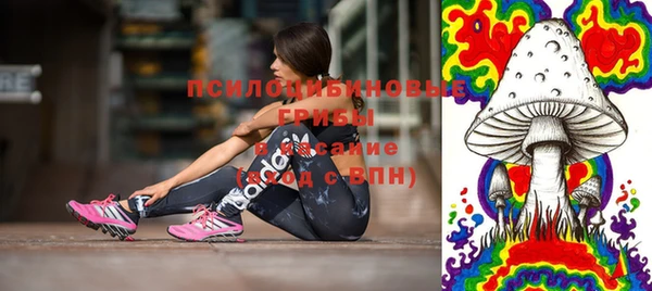 синтетический гашиш Алексин