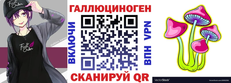 mega вход  Бикин  Псилоцибиновые грибы прущие грибы 